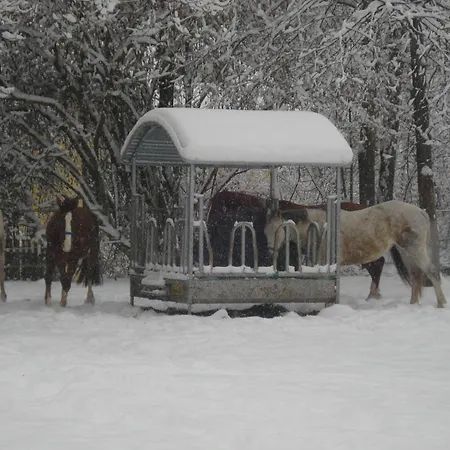 Ferk * Unterburg am Klopeiner See