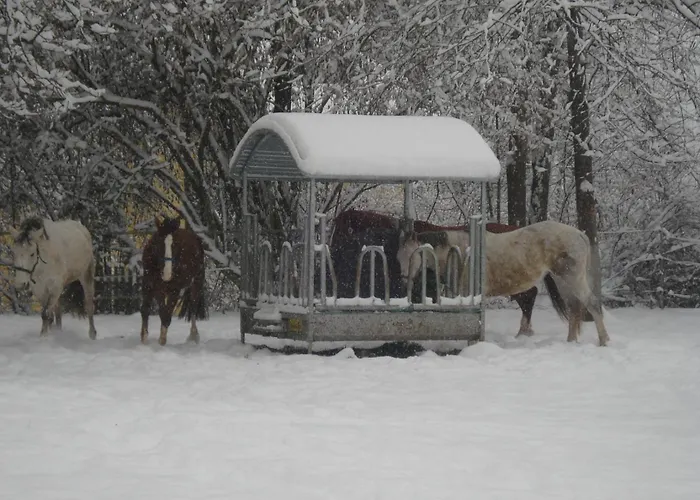 Ferk * Unterburg am Klopeiner See