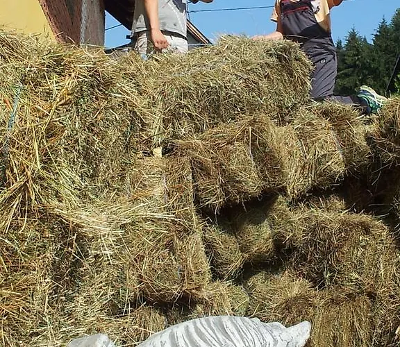 Appartamento Ferk Unterburg am Klopeiner See