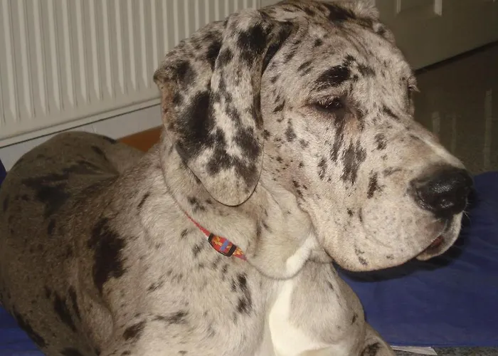 Appartamento Ferk Unterburg am Klopeiner See